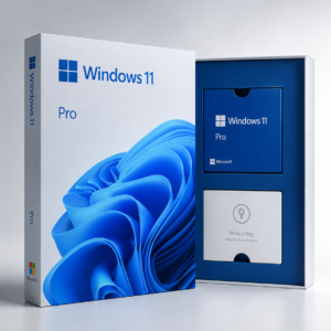 Windows 11 Pro